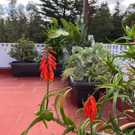 公寓 Arriba Stijlvol Met Zwembad En Tuin