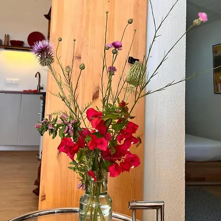 公寓 Arriba Stijlvol Met Zwembad En Tuin 科尼尔-德拉弗龙特拉