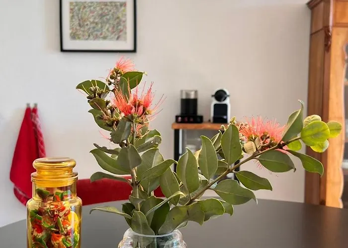 Arriba Stijlvol Met Zwembad En Tuin 아파트
