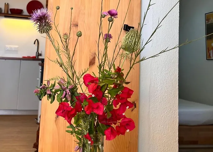 아파트 Arriba Stijlvol Met Zwembad En Tuin 콘일데라프론테라