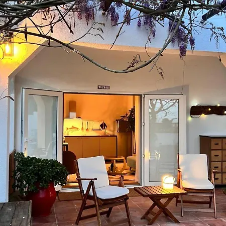 Arriba Stijlvol Met Zwembad En Tuin