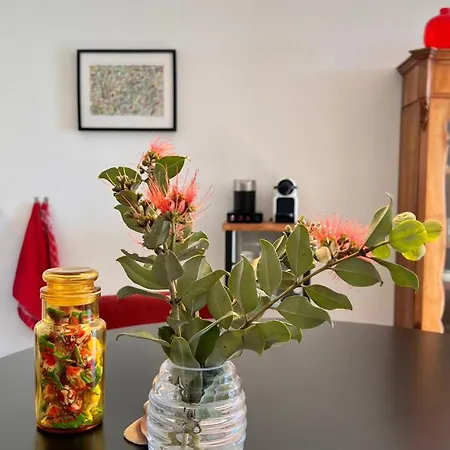 Arriba Stijlvol Met Zwembad En Tuin Lägenhet