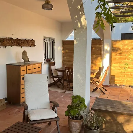 Arriba Stijlvol Met Zwembad En Tuin