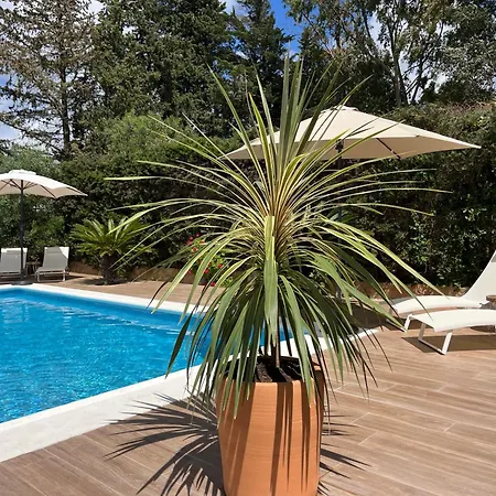 Arriba Stijlvol Met Zwembad En Tuin Кониль-де-ла-Фронтера