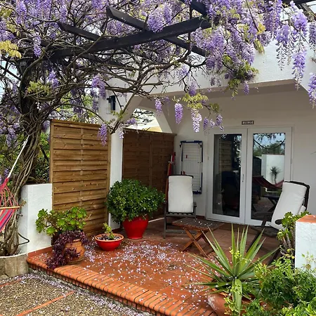 Arriba Stijlvol Met Zwembad En Tuin *