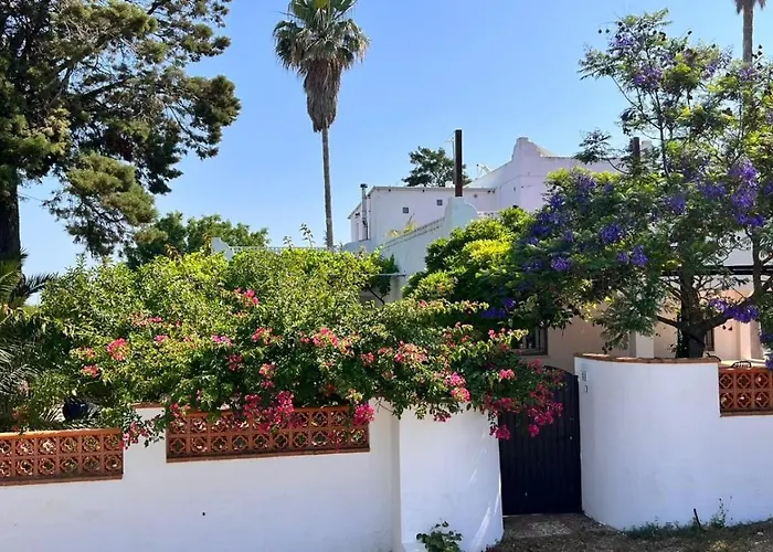 Arriba Stijlvol Met Zwembad En Tuin