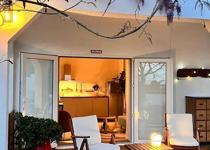 Arriba Stijlvol Met Zwembad En Tuin