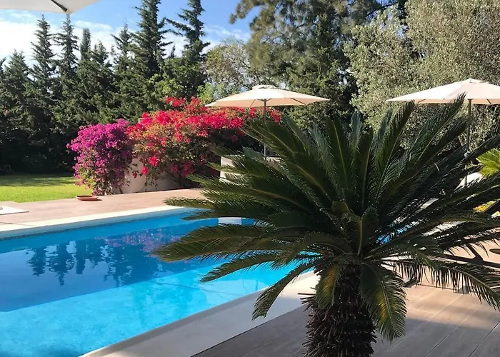 Arriba Stijlvol Met Zwembad En Tuin * Кониль-де-ла-Фронтера