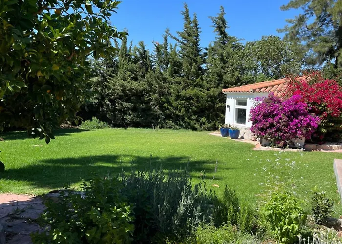 Arriba Stijlvol Met Zwembad En Tuin Apartment Conil De La Frontera