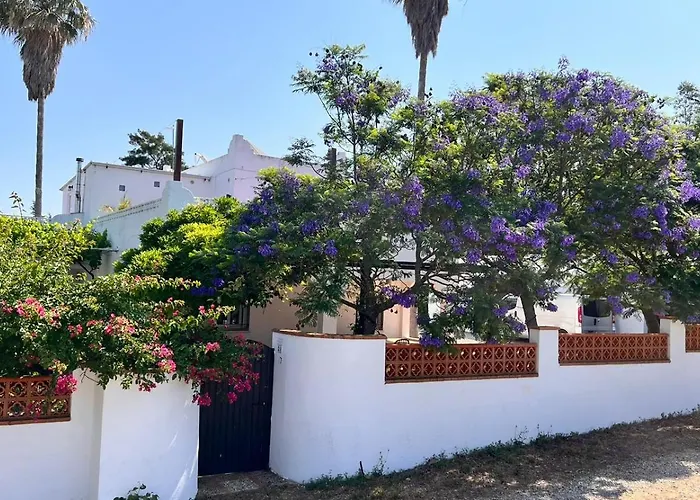 Arriba Stijlvol Met Zwembad En Tuin