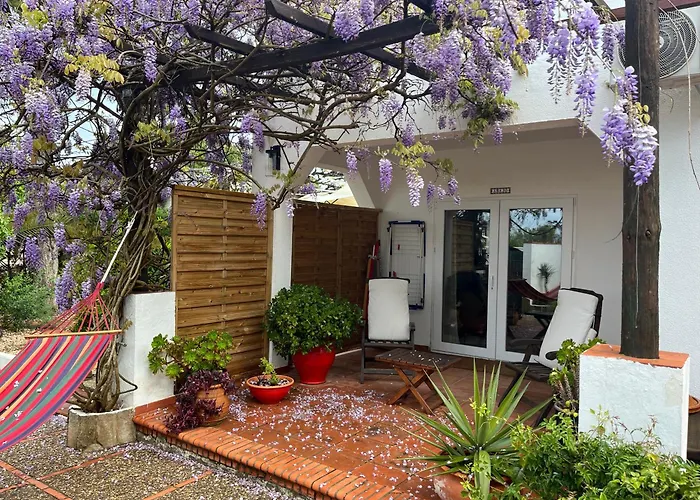 Arriba Stijlvol Met Zwembad En Tuin *