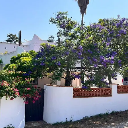 Arriba Stijlvol Met Zwembad En Tuin