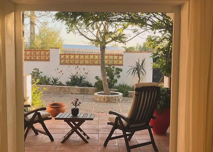 Arriba Stijlvol Met Zwembad En Tuin