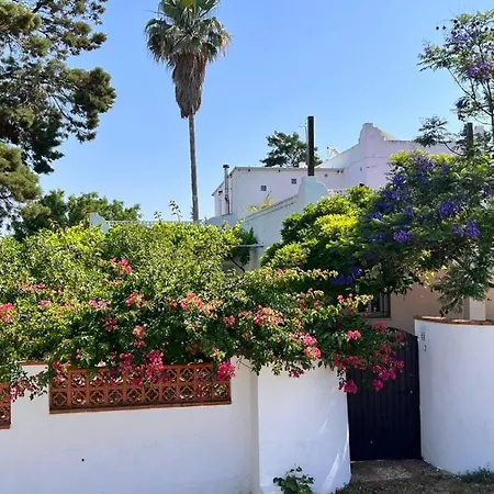 Arriba Stijlvol Met Zwembad En Tuin