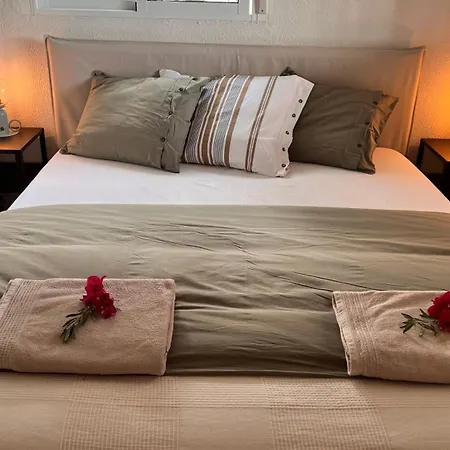 Arriba Stijlvol Met Zwembad En Tuin *