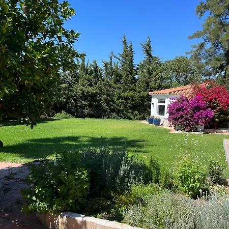 Arriba Stijlvol Met Zwembad En Tuin Apartamento Conil De La Frontera